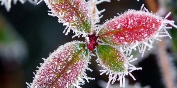 Завтра продолжится заток холодных воздушных масс