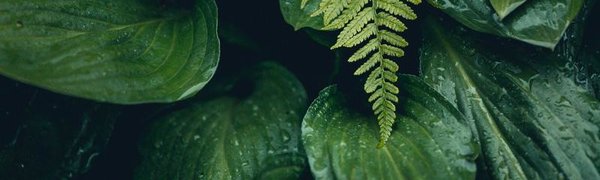 Дожди, грозы и туман: Июнь не радовал приморцев хорошей погодой