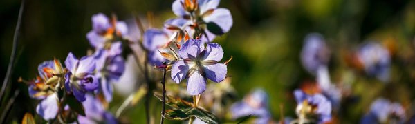 В начале следующей недели в Приморье ожидается типично летняя погода