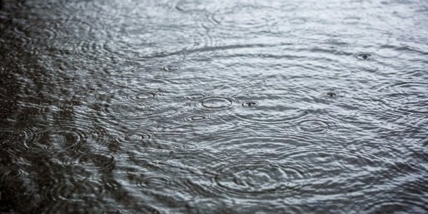 Экстренное предупреждение в связи с непогодой объявлено в Приморье