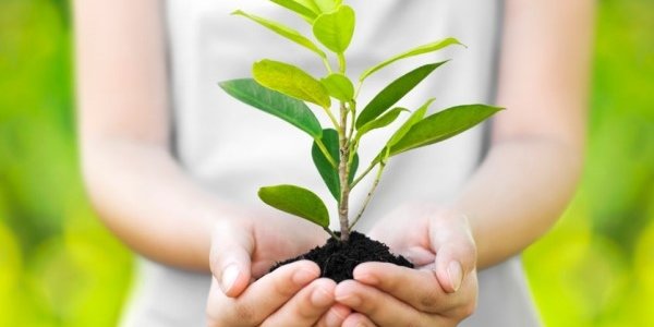 Сегодня в мире отмечается День Матери-Земли