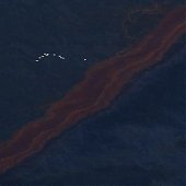 Разлив нефти в Мексиканском заливе угрожает экологической катастрофой