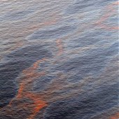 Разлив нефти в Мексиканском заливе угрожает экологической катастрофой