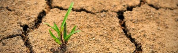 Китай считает изменение климата очень опасным