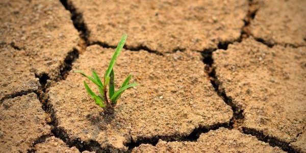 Китай считает изменение климата очень опасным