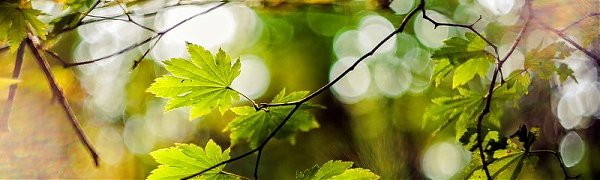 В Приморском крае в разгаре «бабье лето»