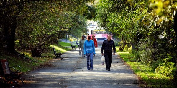 Сухая и солнечная погода ожидает приморцев в выходные дни