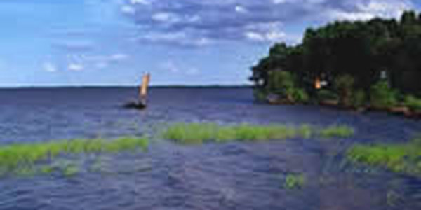 Уровень воды на Ханке выше средних многолетних значений