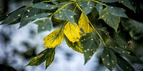 На следующей неделе во Владивостоке почувствуется дыхание осени
