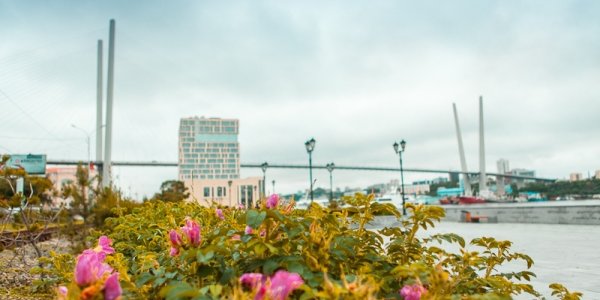 Туман покинет Владивосток, чтобы вечером вернуться вновь