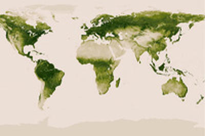 Спутник помог ученым составить карту растительности на Земле