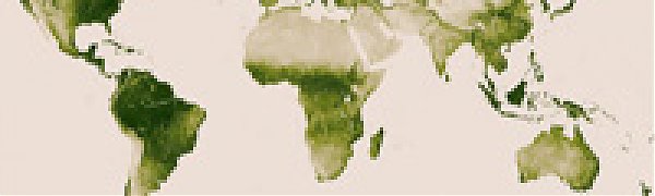 Спутник помог ученым составить карту растительности на Земле