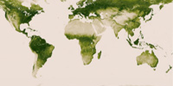 Спутник помог ученым составить карту растительности на Земле