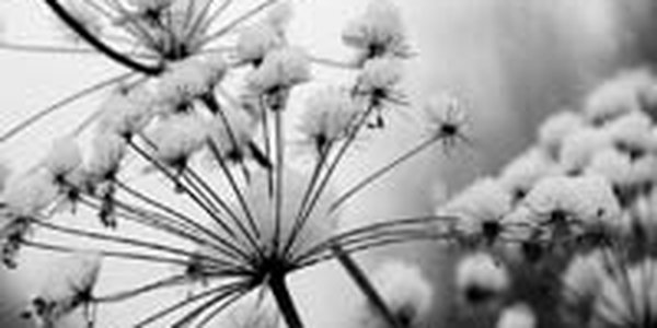 Перепад температуры в Приморье составил 23°C