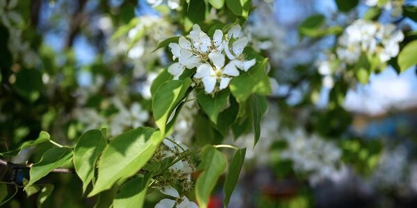 Теплая погода ожидается в Приморье в последний день весны