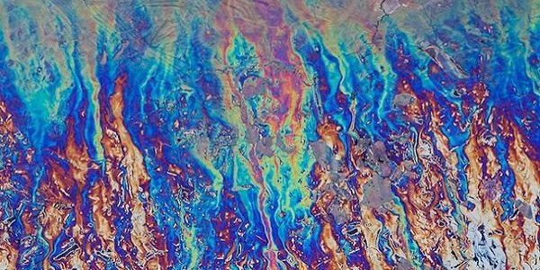 Ущерб от разлива нефти в Золотом роге оценили на 25 млн рублей