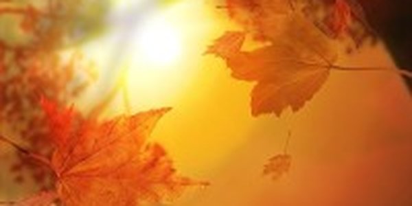 Тепло придет в край завтра