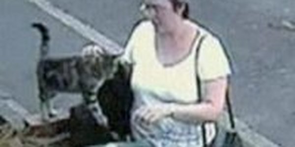 Суд вынес обвинение женщине, запершей кошку в мусорном баке