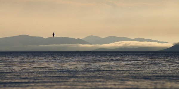 Дожди в Приморье прекратятся лишь в субботу