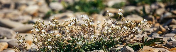 Температура в Приморье держится выше климатической нормы