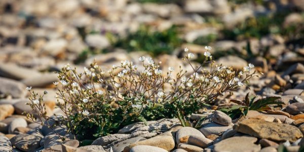 Температура в Приморье держится выше климатической нормы
