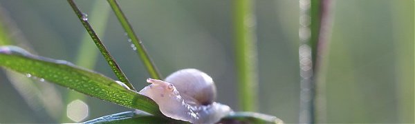 В Приморье ожидается теплая, но сырая погода