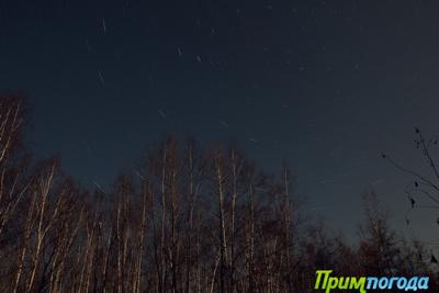 Ночью температура в Приморье опустилась до −6 °C