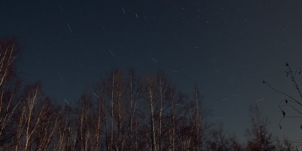 Ночью температура в Приморье опустилась до −6 °C