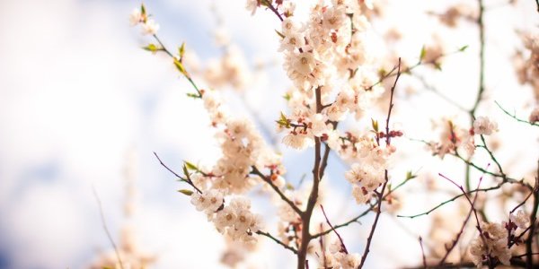 Праздничные выходные в Приморье будут по-летнему теплыми