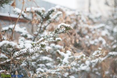 День 5 февраля стал самым холодным во Владивостоке с начала зимы