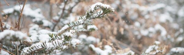 День 5 февраля стал самым холодным во Владивостоке с начала зимы