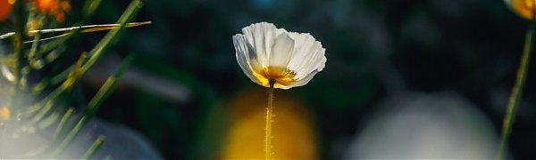 Завтра в Приморье ненадолго распогодится