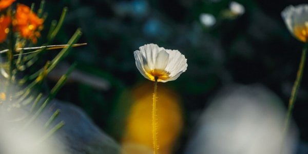 Завтра в Приморье ненадолго распогодится