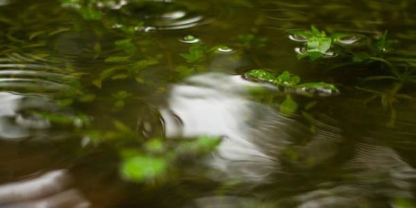 15 августа возможны подтопления сёл в Красноармейском районе