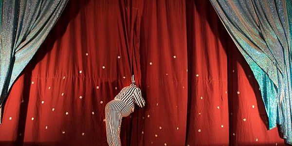 Первое представление во Владивостокском цирке пройдёт уже в декабре