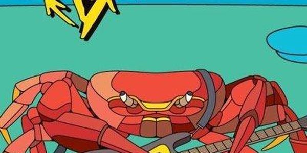 Во Владивостоке открыт набор волонтеров на фестиваль V-Rox