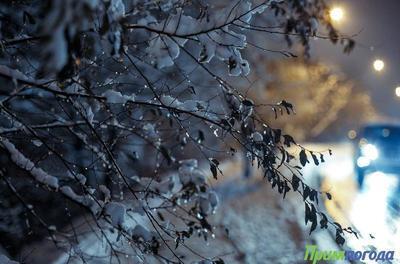 В начале следующей недели погода в Приморье резко ухудшится