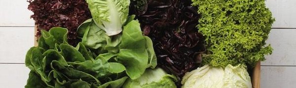 Салат оказался вреднее, чем бекон