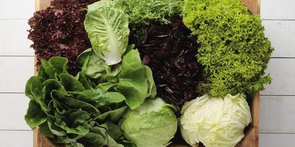 Салат оказался вреднее, чем бекон