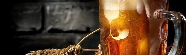 Учёные определили пользу пива