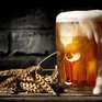 Учёные определили пользу пива