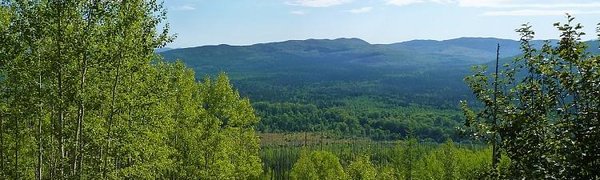 Во вторник местами в Приморье воздух прогреется до +30 °С