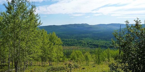 Во вторник местами в Приморье воздух прогреется до +30 °С