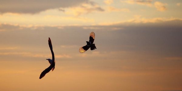 Неустойчивая погода пришла в Приморье. Прогноз погоды на рабочую неделю