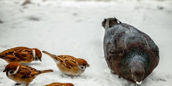 Неустойчивая погода сохраняется в Приморье