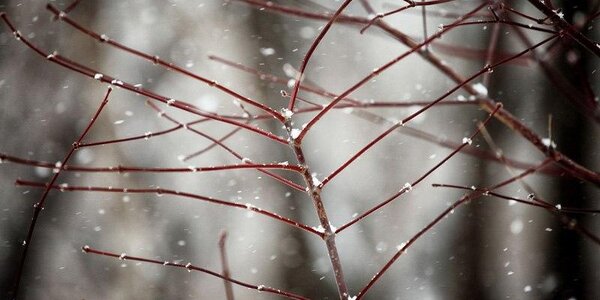 И снова местами снег: прогноз погоды на выходные в Приморье