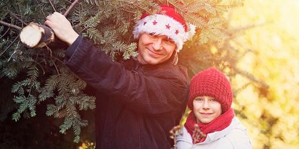 Во всех районах Владивостока развернулись ёлочные базары