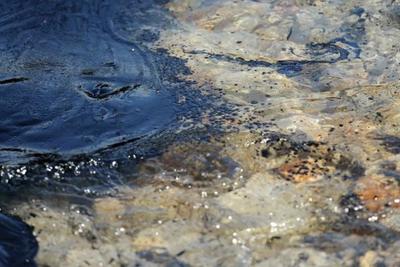Побережье Хасанского района очистили от нефти