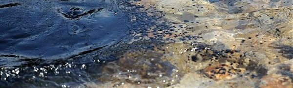 Побережье Хасанского района очистили от нефти