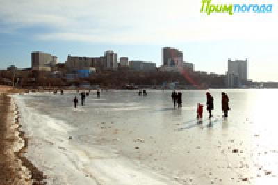 Во Владивостоке сохраняется тенденция к потеплению